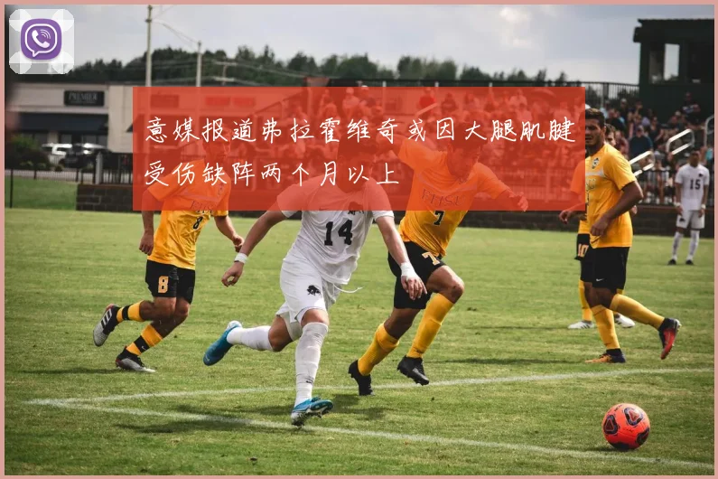 意媒报道弗拉霍维奇或因大腿肌腱受伤缺阵两个月以上